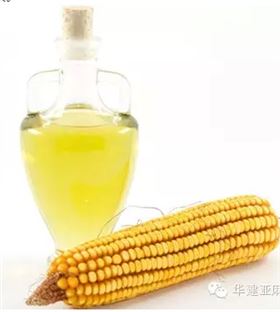 玉米油多少钱一斤