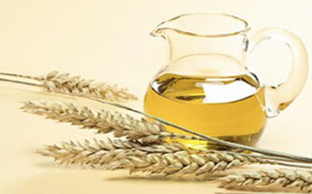 小麦胚芽油营养是什么
